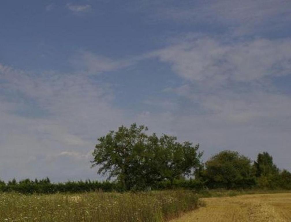 Le Clos Du Murier Chassignelles Luaran gambar